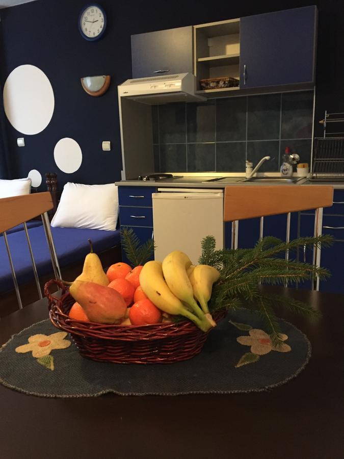 Apartmani Berghaus 兹拉蒂博尔 外观 照片