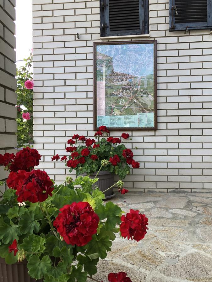 Apartmani Berghaus 兹拉蒂博尔 外观 照片